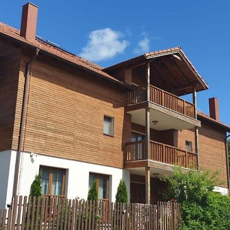 Casa Paduricea Ξενοδοχείο Dezmir Εξωτερικό φωτογραφία