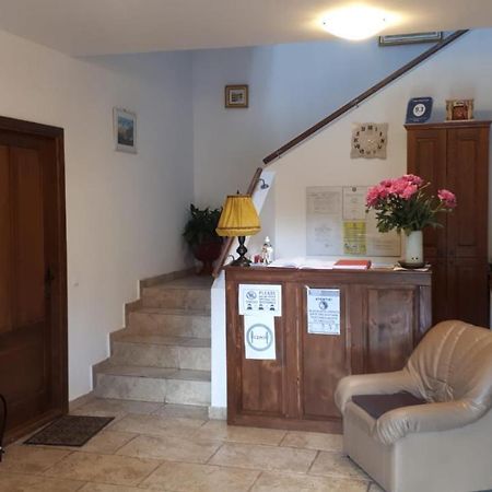 Casa Paduricea Ξενοδοχείο Dezmir Εξωτερικό φωτογραφία