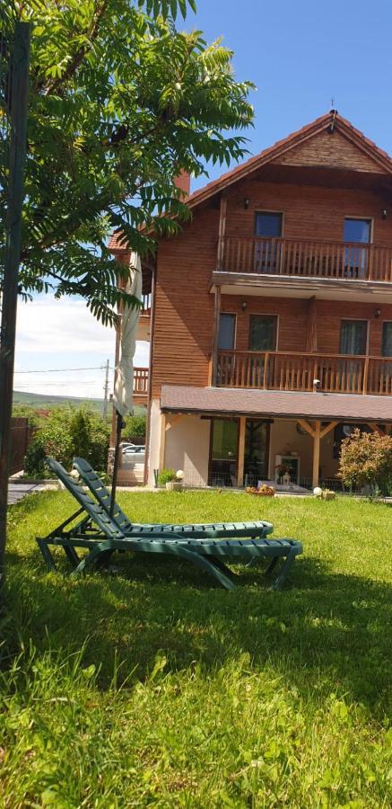 Casa Paduricea Ξενοδοχείο Dezmir Εξωτερικό φωτογραφία