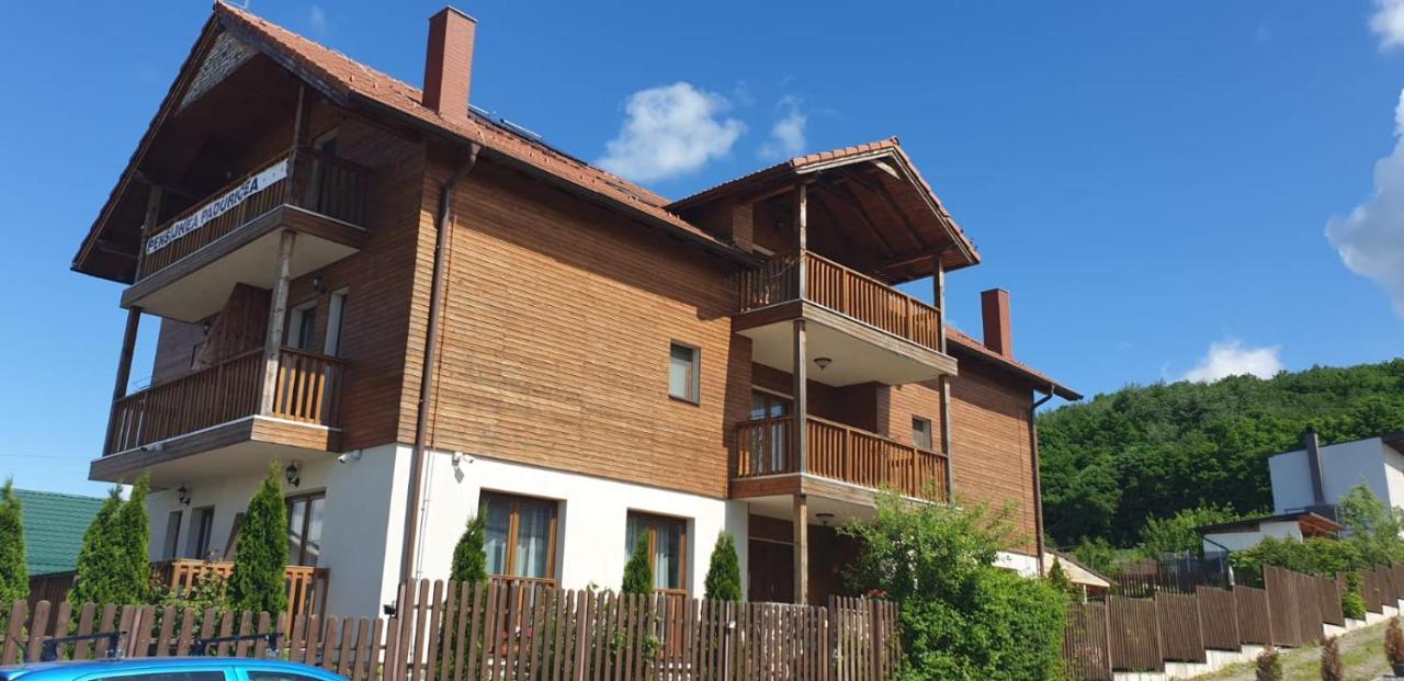Casa Paduricea Ξενοδοχείο Dezmir Εξωτερικό φωτογραφία