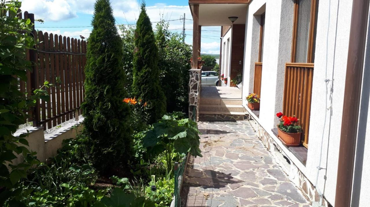 Casa Paduricea Ξενοδοχείο Dezmir Εξωτερικό φωτογραφία