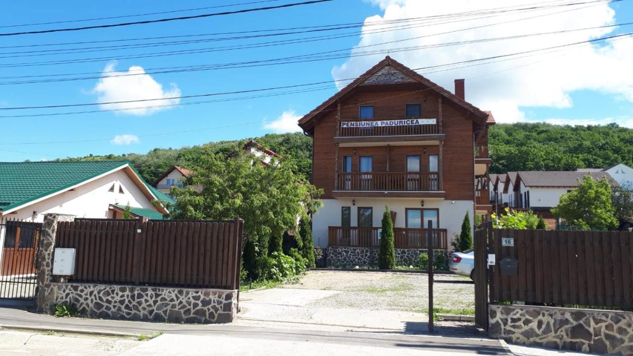 Casa Paduricea Ξενοδοχείο Dezmir Εξωτερικό φωτογραφία