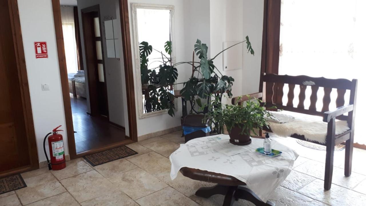 Casa Paduricea Ξενοδοχείο Dezmir Εξωτερικό φωτογραφία