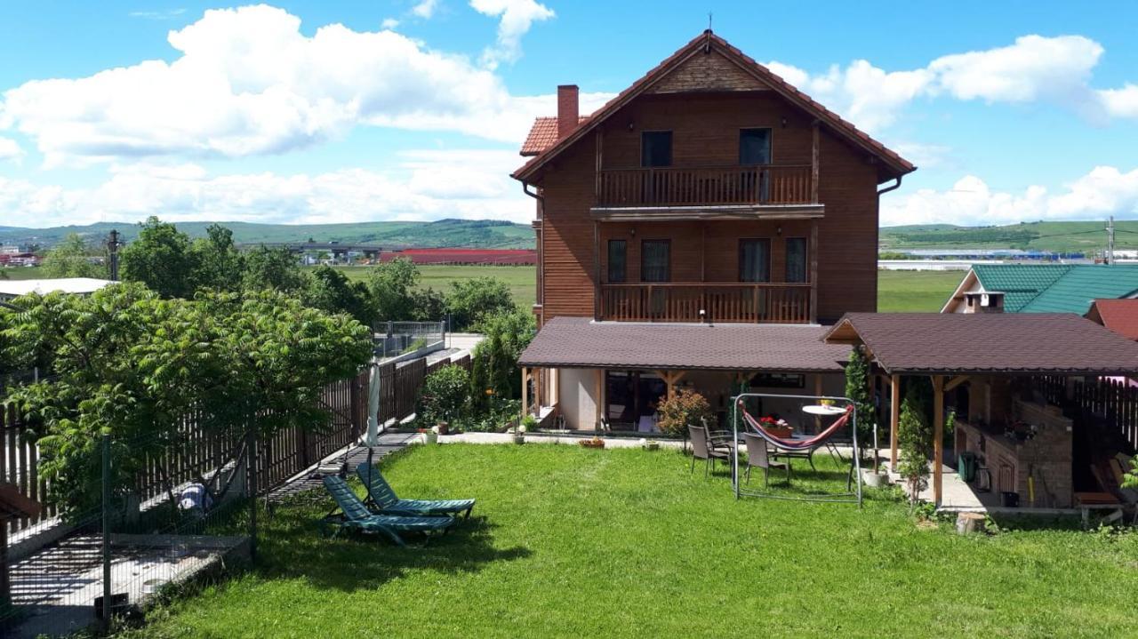 Casa Paduricea Ξενοδοχείο Dezmir Εξωτερικό φωτογραφία