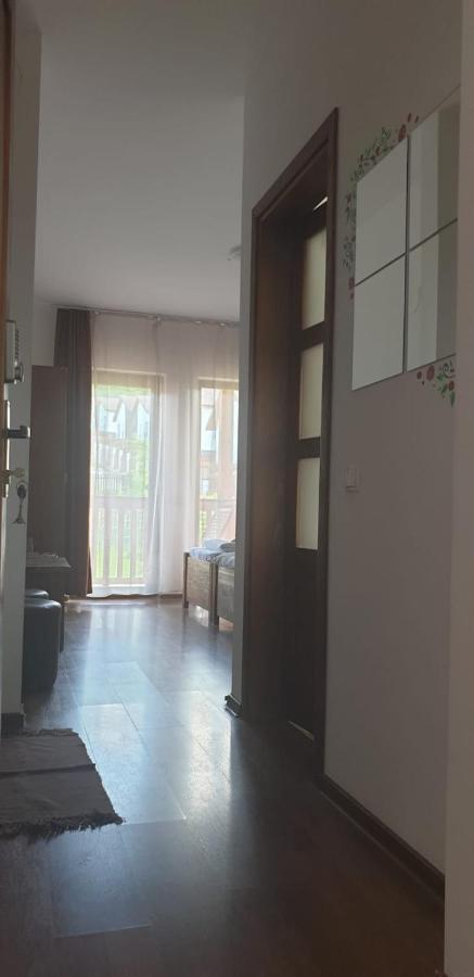 Casa Paduricea Ξενοδοχείο Dezmir Εξωτερικό φωτογραφία