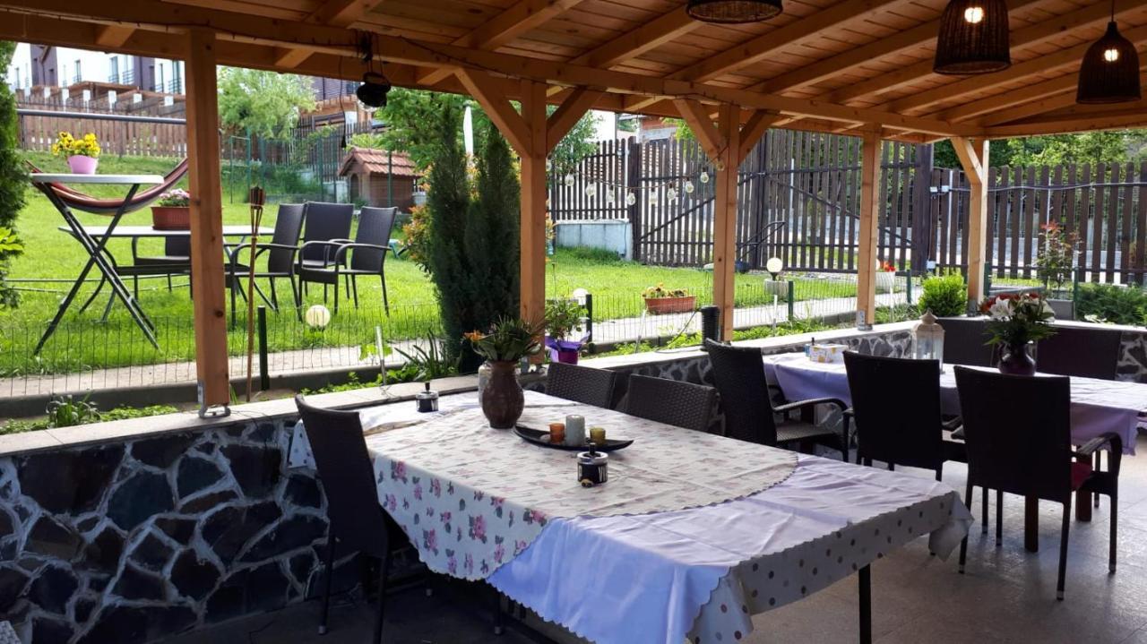 Casa Paduricea Ξενοδοχείο Dezmir Εξωτερικό φωτογραφία