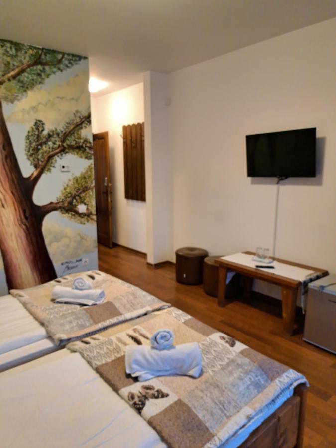 Casa Paduricea Ξενοδοχείο Dezmir Εξωτερικό φωτογραφία