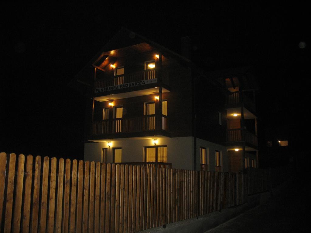 Casa Paduricea Ξενοδοχείο Dezmir Εξωτερικό φωτογραφία